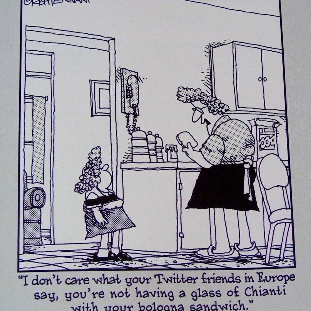 Book Bundle Twitter for Dummies  Advertising - Picture 4 of 9
